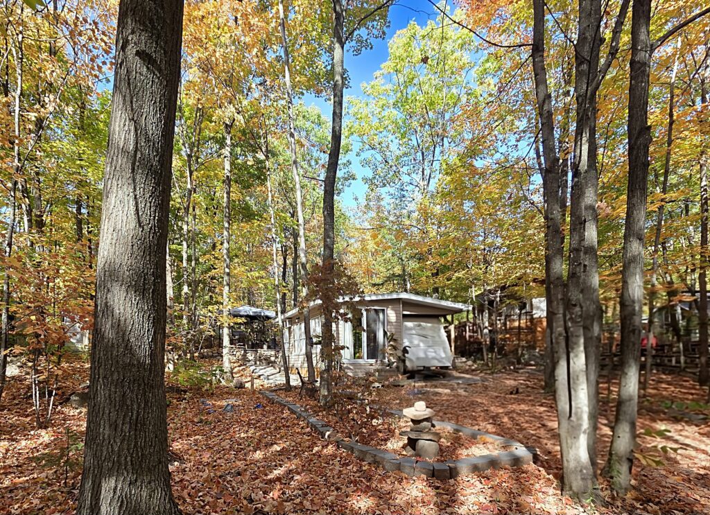 Roulotte Chalet a Vendre 239