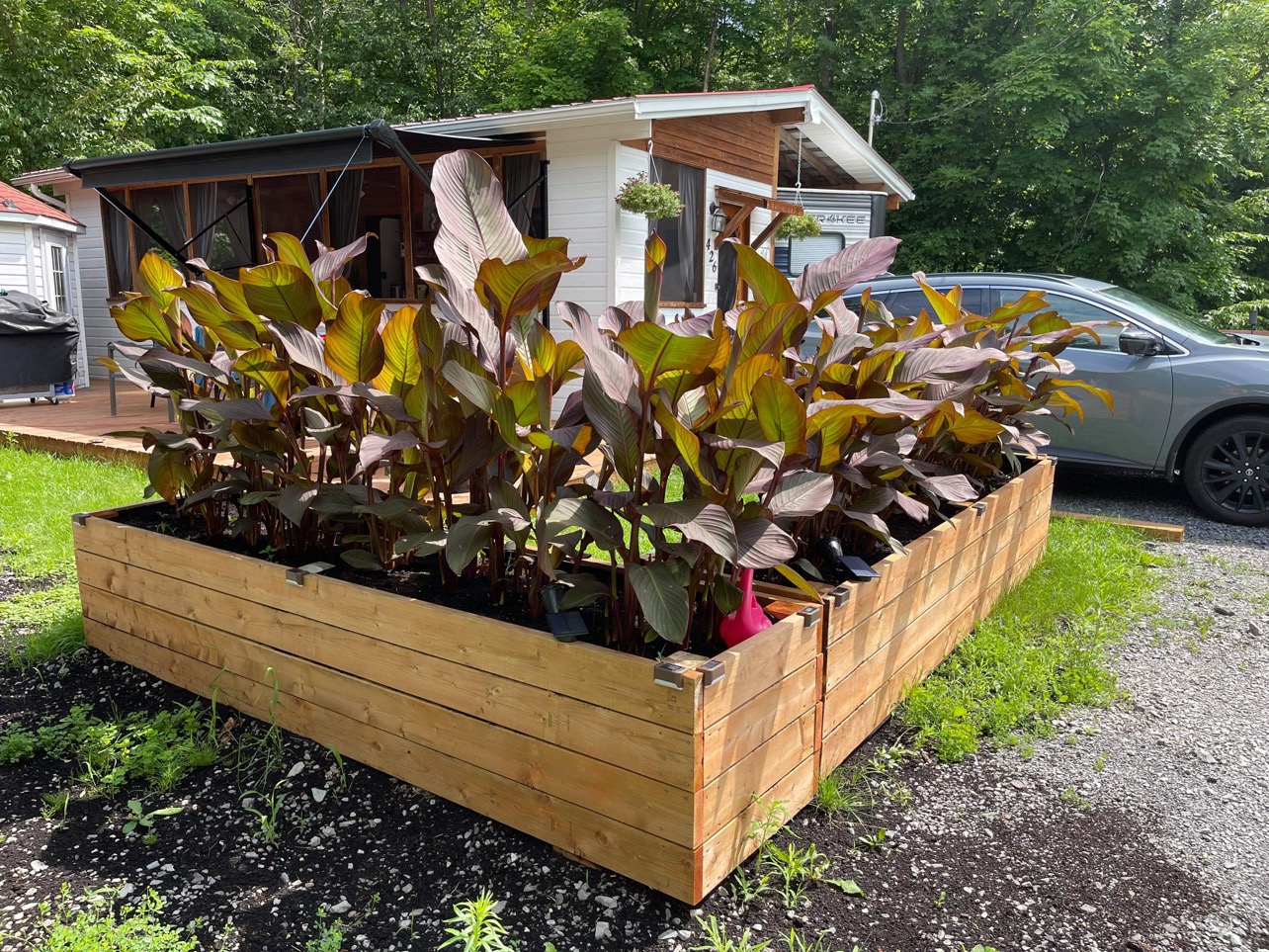 Roulotte à Vendre 426
