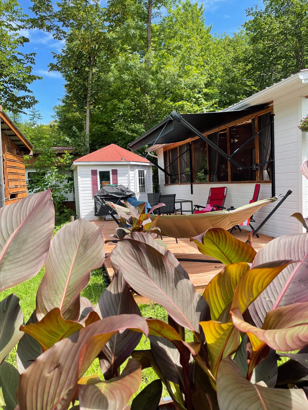 Roulotte à Vendre 426